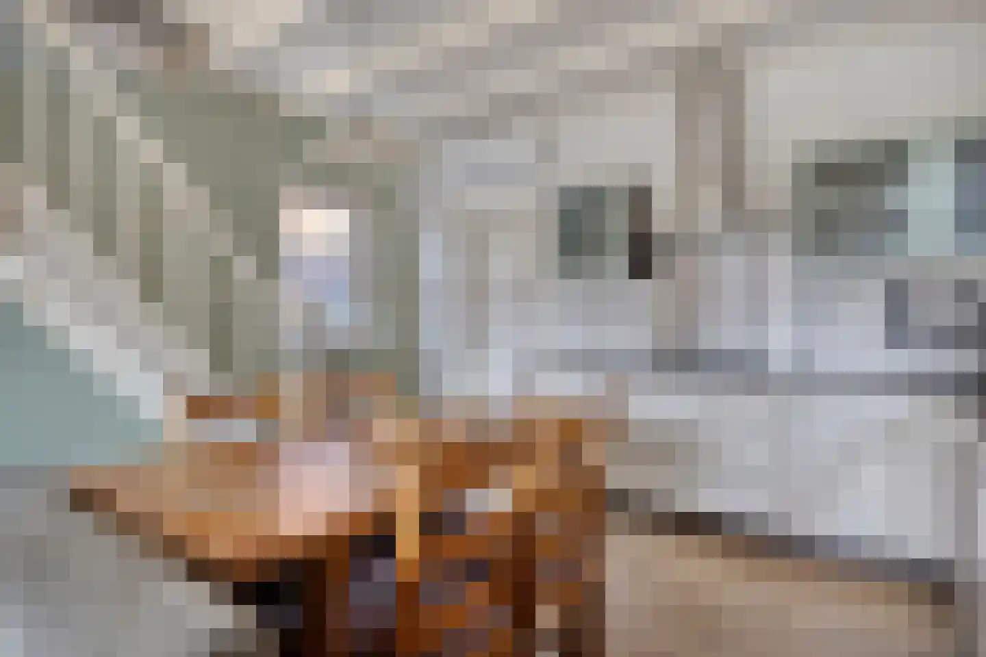 Rechtuit 27 Hollandscheveld thumbnail 10