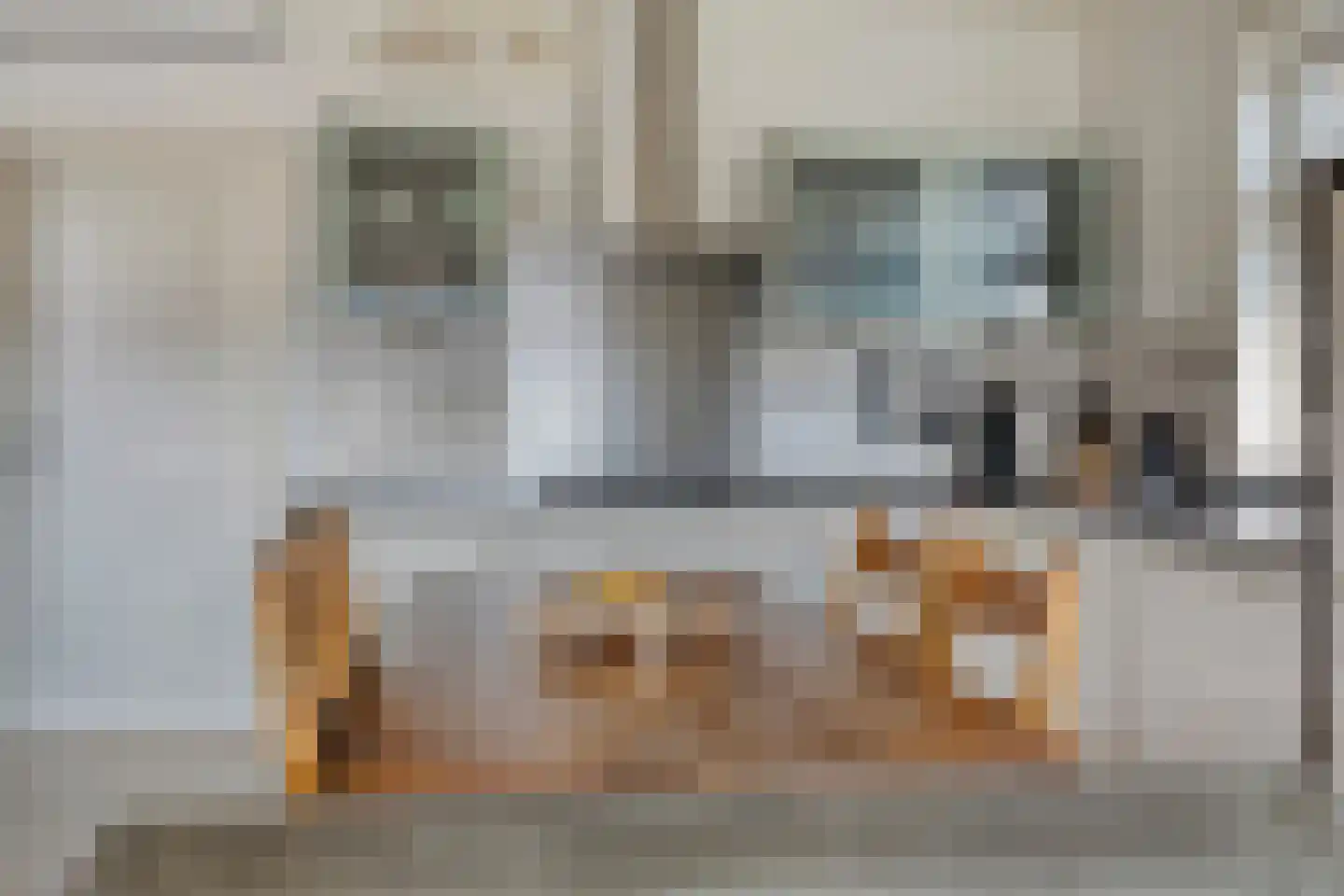 Rechtuit 27 Hollandscheveld thumbnail 11