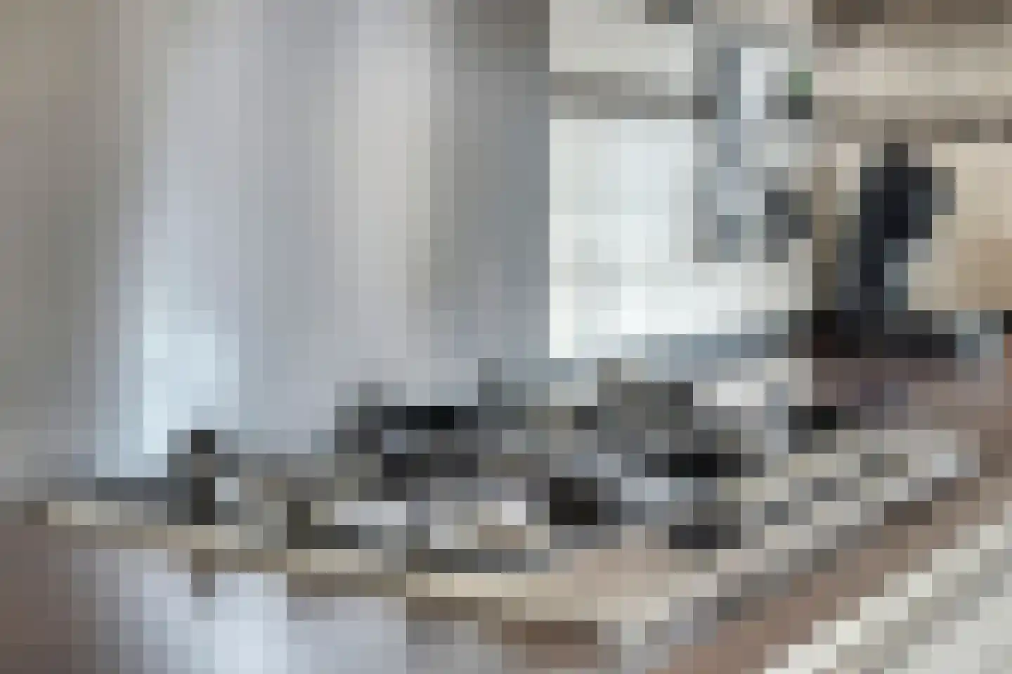 Rechtuit 27 Hollandscheveld thumbnail 13