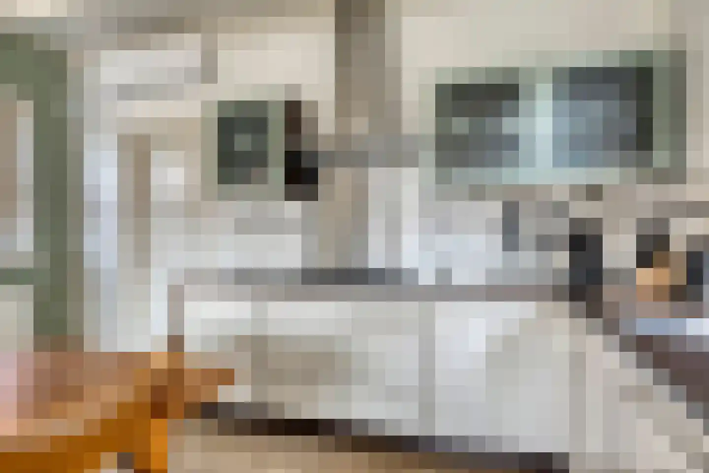 Rechtuit 27 Hollandscheveld thumbnail 14