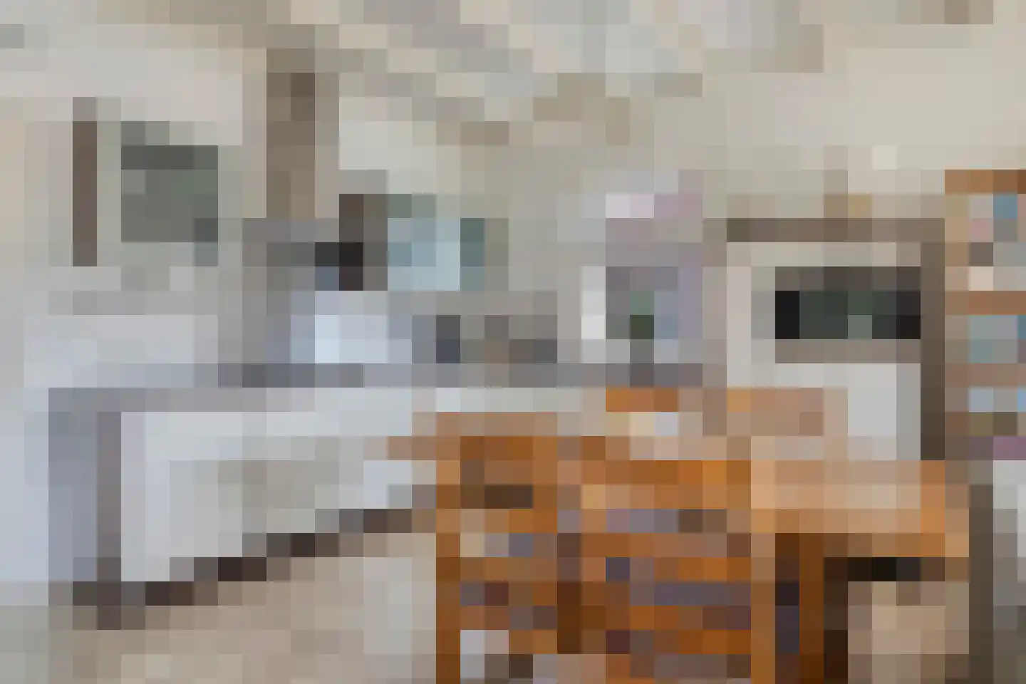 Rechtuit 27 Hollandscheveld thumbnail 15