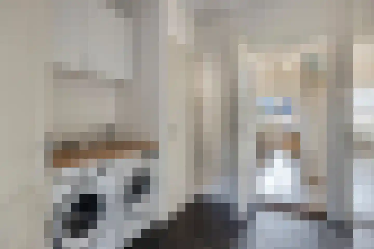 Rechtuit 27 Hollandscheveld thumbnail 18