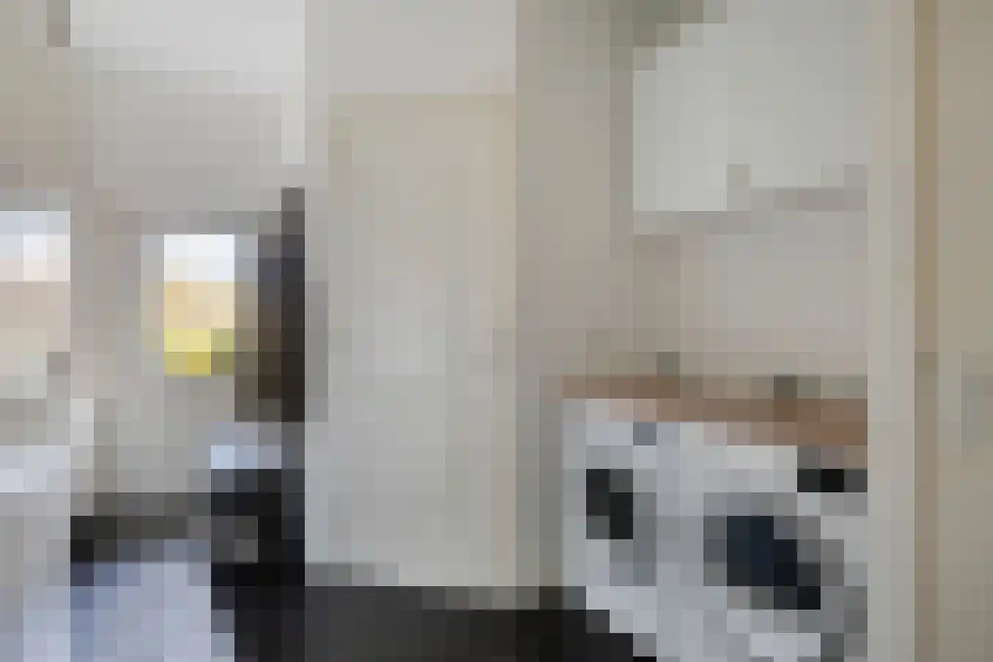 Rechtuit 27 Hollandscheveld thumbnail 19