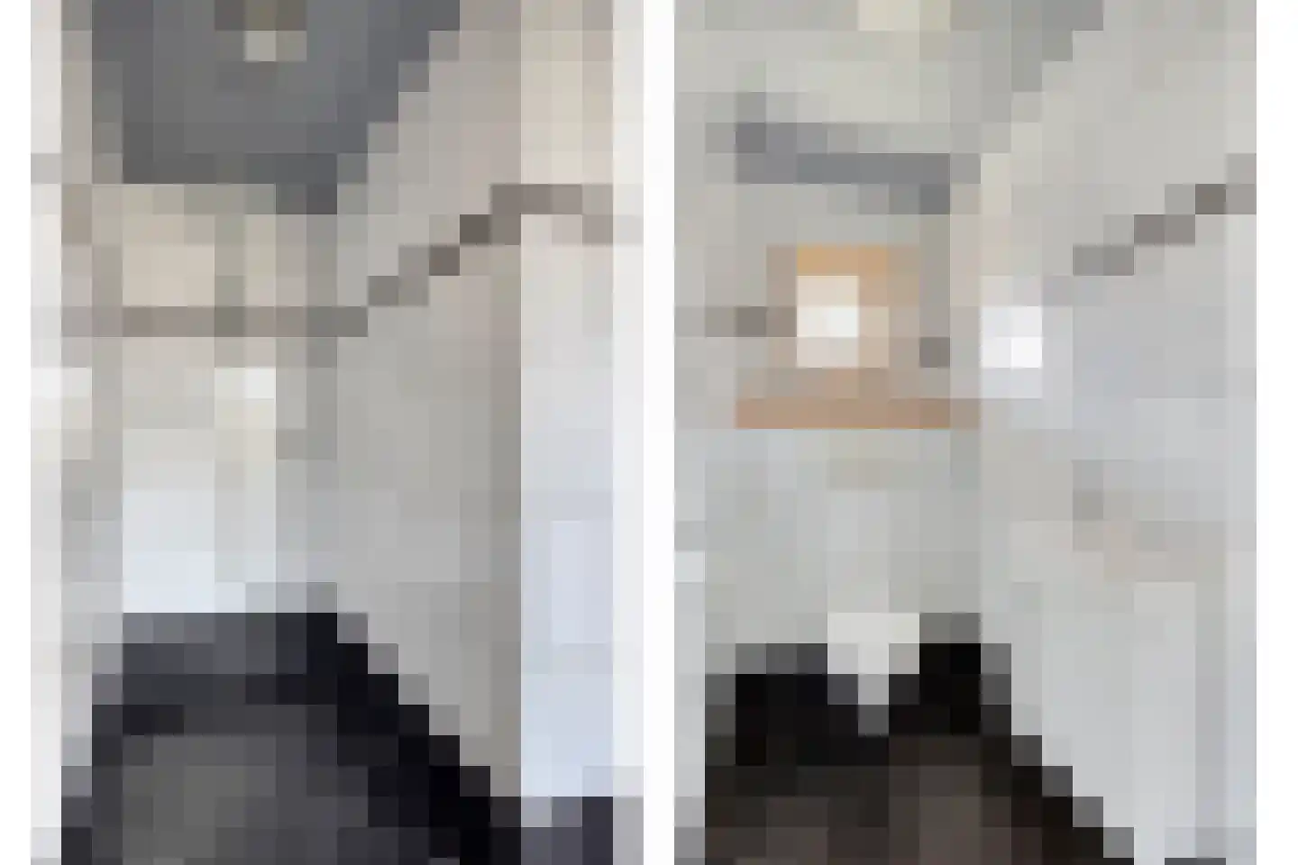 Rechtuit 27 Hollandscheveld thumbnail 22