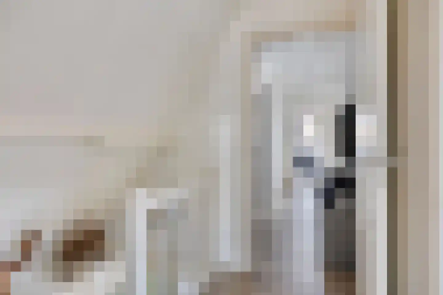 Rechtuit 27 Hollandscheveld thumbnail 23
