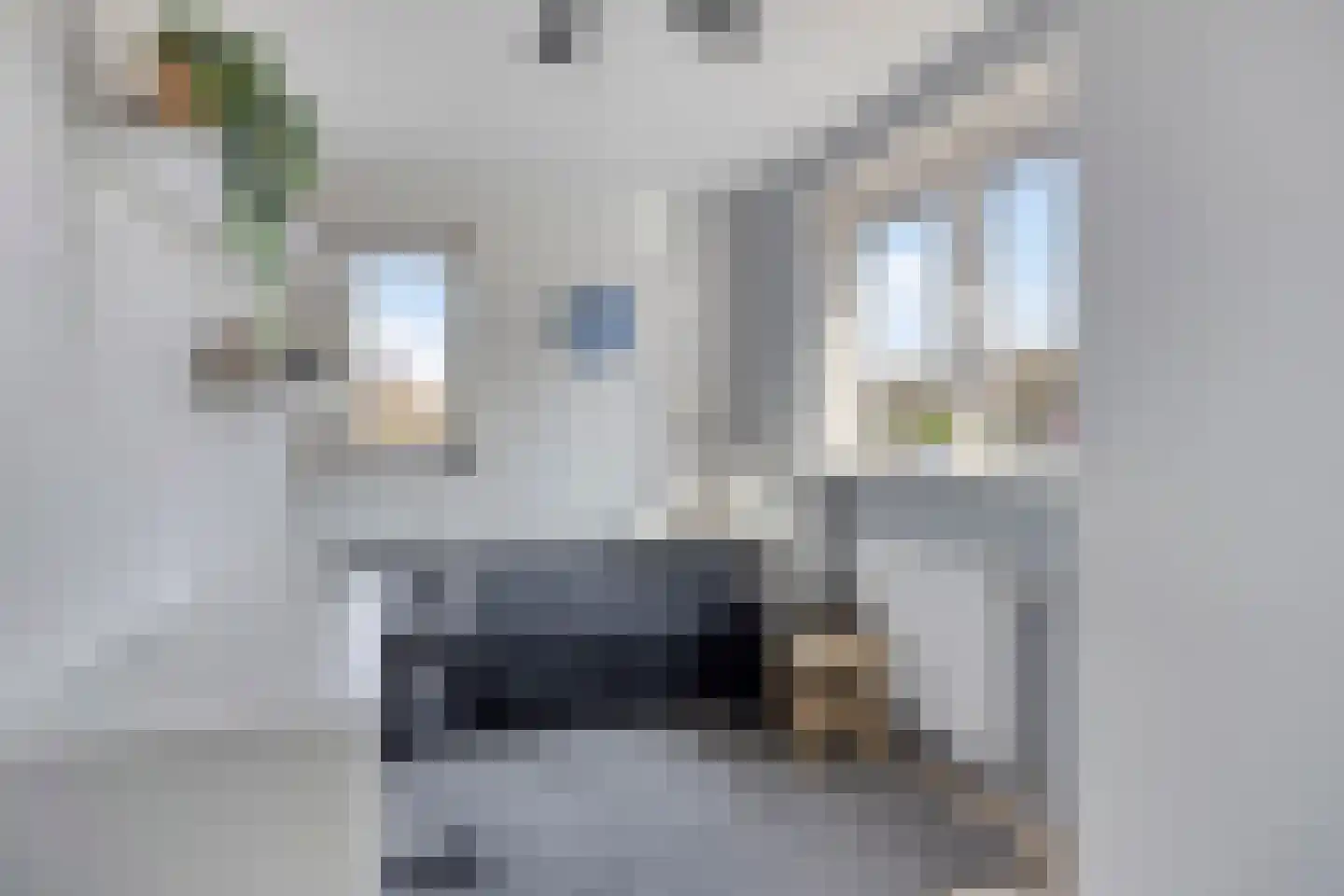 Rechtuit 27 Hollandscheveld thumbnail 32