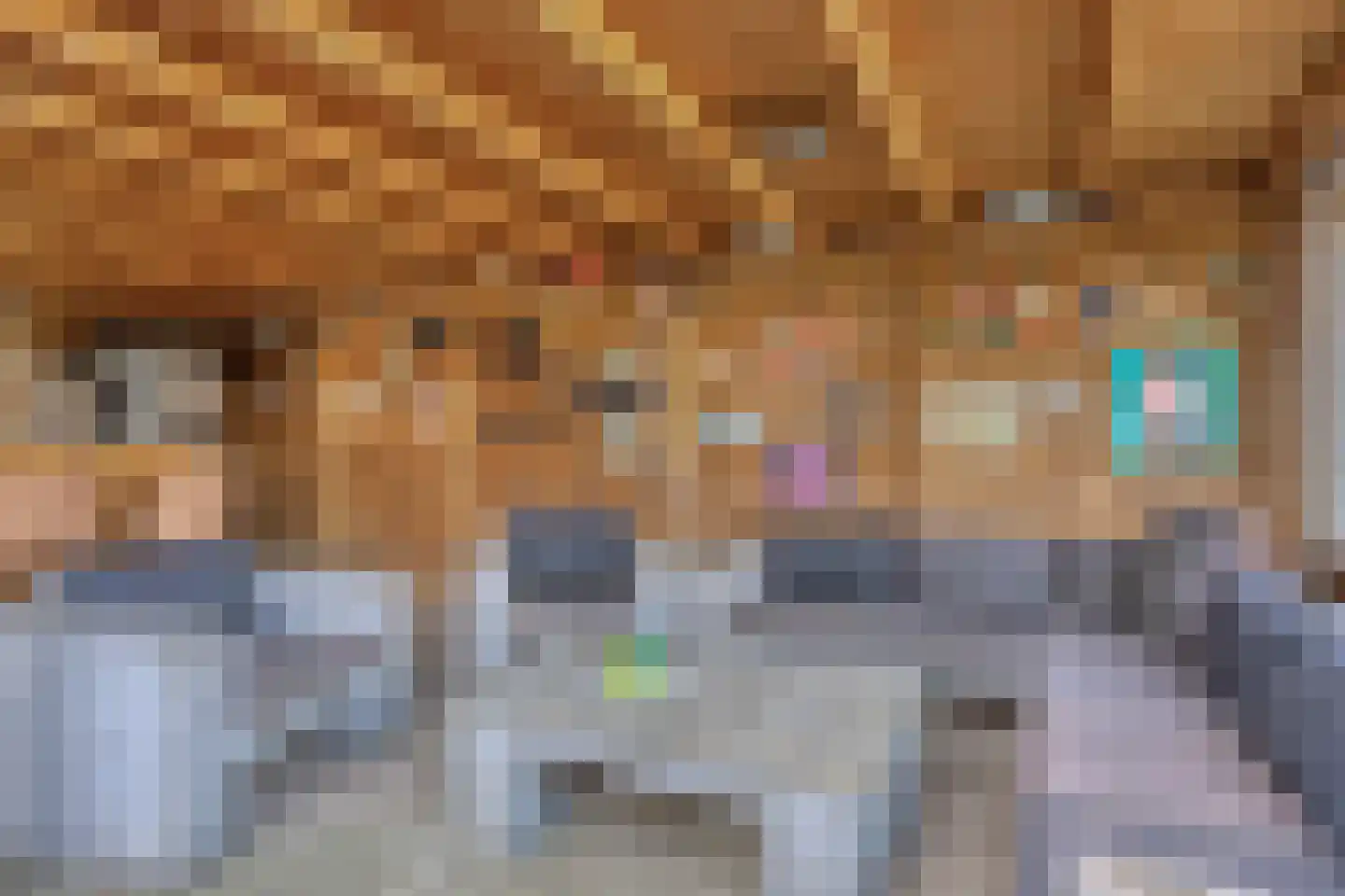 Rechtuit 27 Hollandscheveld thumbnail 35