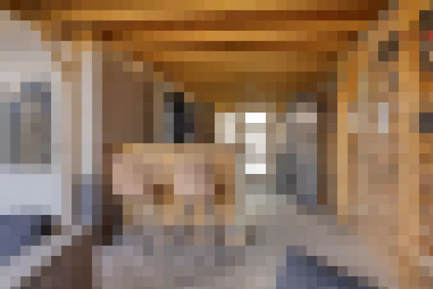 Rechtuit 27 Hollandscheveld thumbnail 36