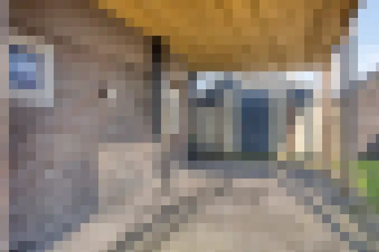 Rechtuit 27 Hollandscheveld thumbnail 42