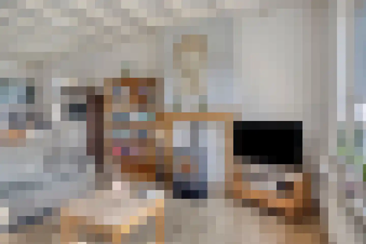 Rechtuit 27 Hollandscheveld thumbnail 6