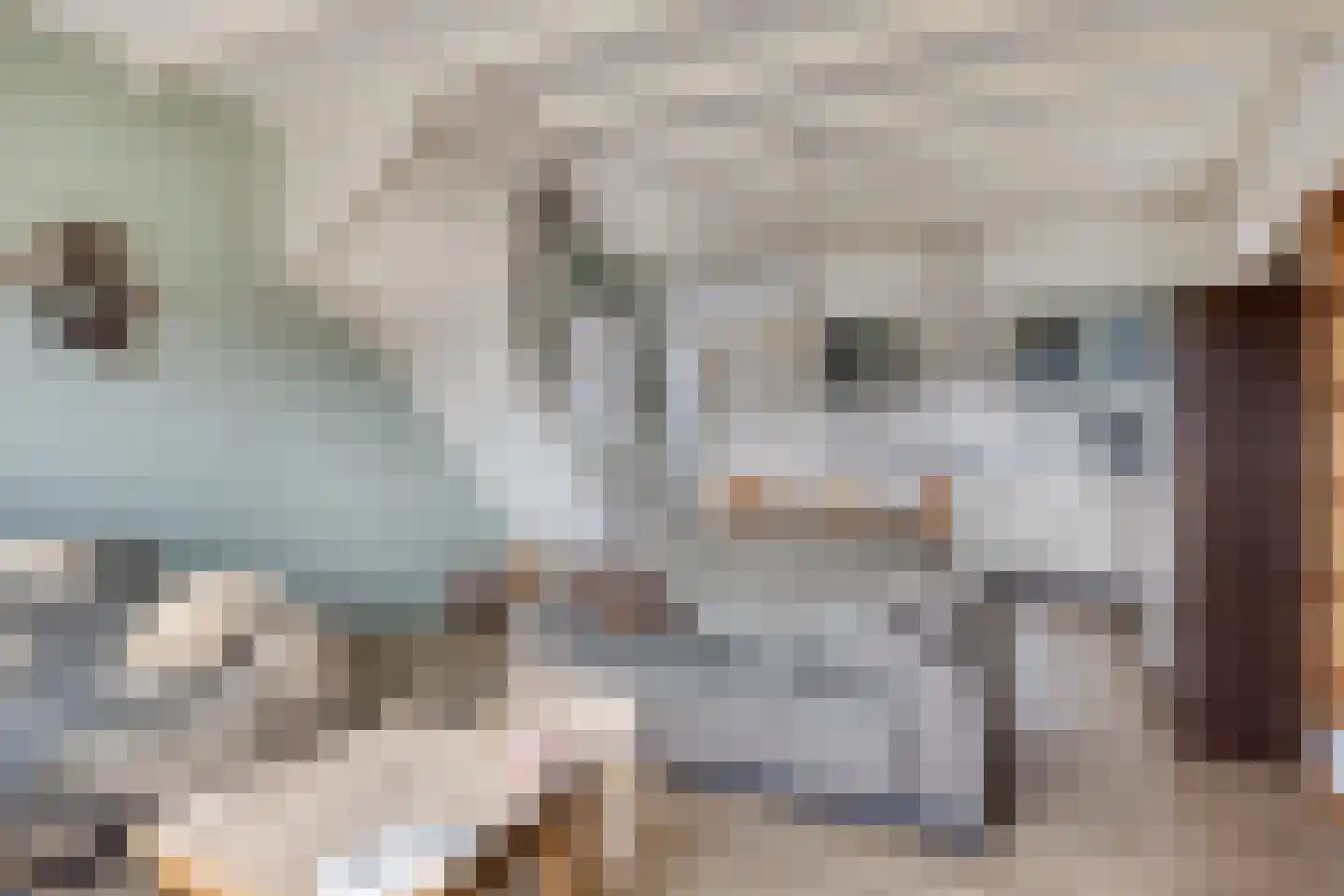 Rechtuit 27 Hollandscheveld thumbnail 8