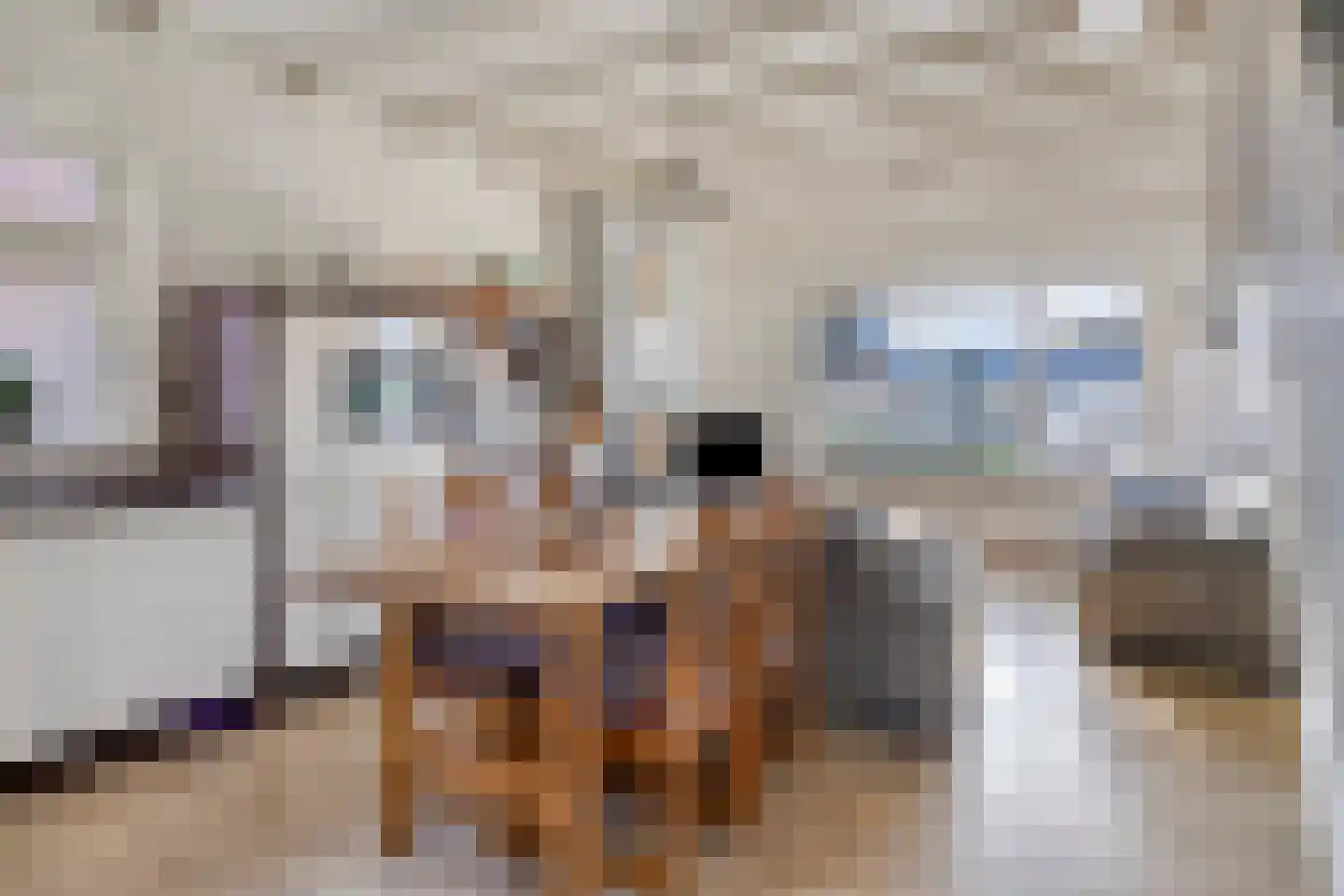 Rechtuit 27 Hollandscheveld thumbnail 9