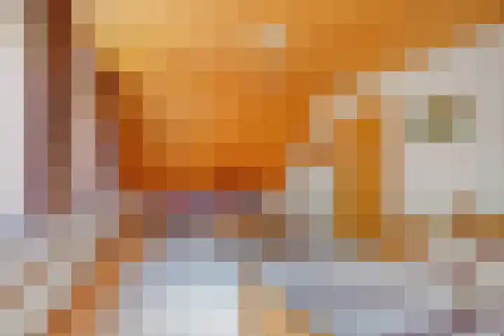 Rechtuit 41 c Hollandscheveld thumbnail 21