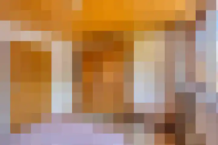 Rechtuit 41 c Hollandscheveld thumbnail 25