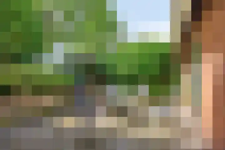 Rechtuit 41 c Hollandscheveld thumbnail 28