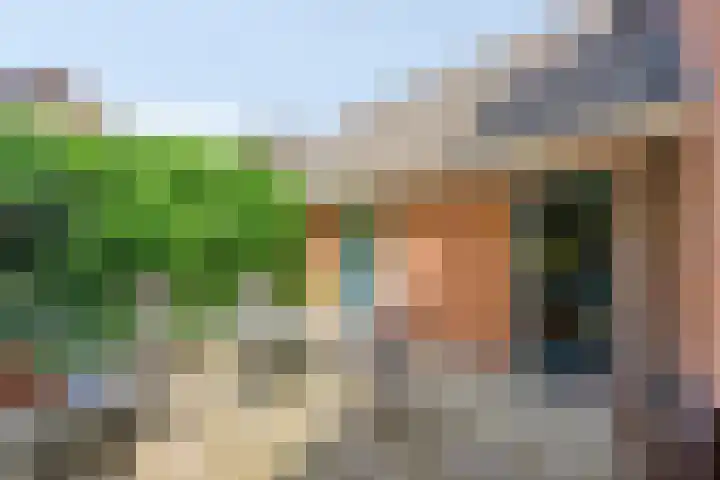 Rechtuit 41 c Hollandscheveld thumbnail 29