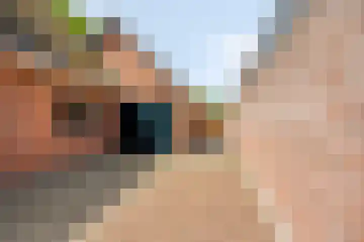 Rechtuit 41 c Hollandscheveld thumbnail 32