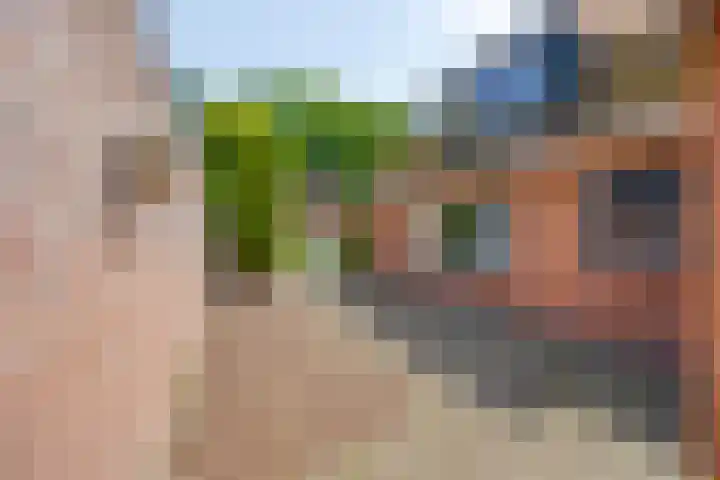 Rechtuit 41 c Hollandscheveld thumbnail 36