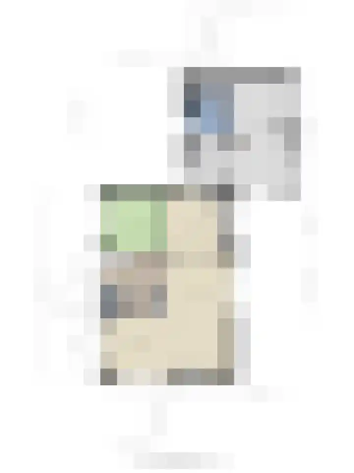 Rechtuit 41 c Hollandscheveld thumbnail 38
