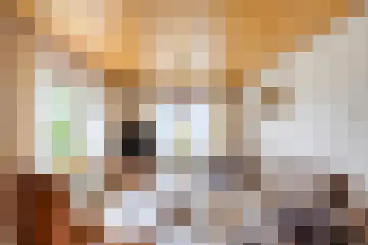 Rechtuit 41 c Hollandscheveld thumbnail 4