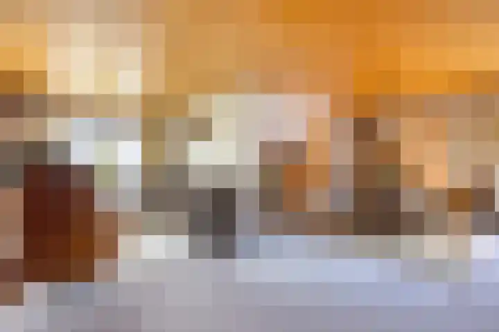 Rechtuit 41 c Hollandscheveld thumbnail 7