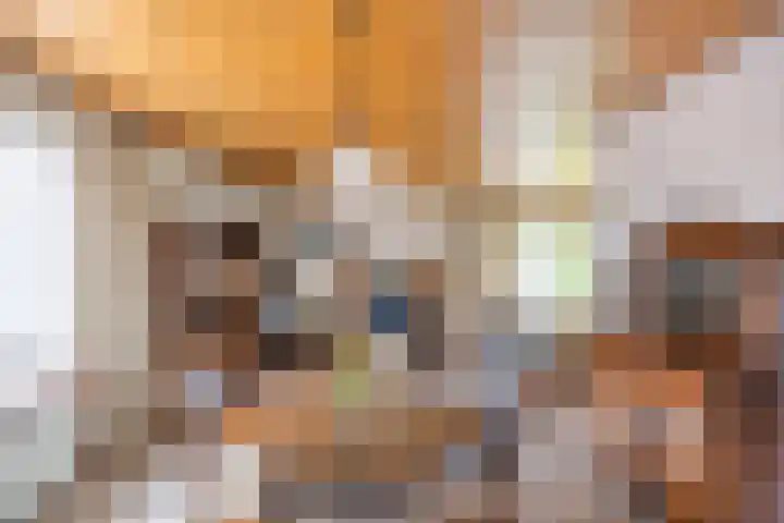 Rechtuit 41 c Hollandscheveld thumbnail 8