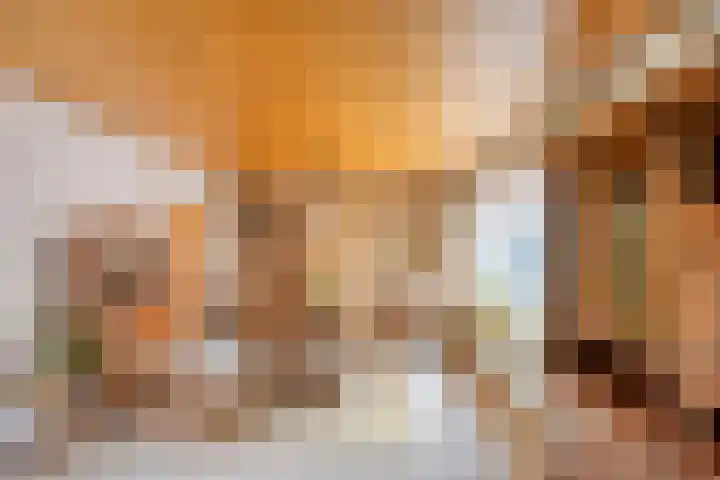 Rechtuit 41 c Hollandscheveld thumbnail 9