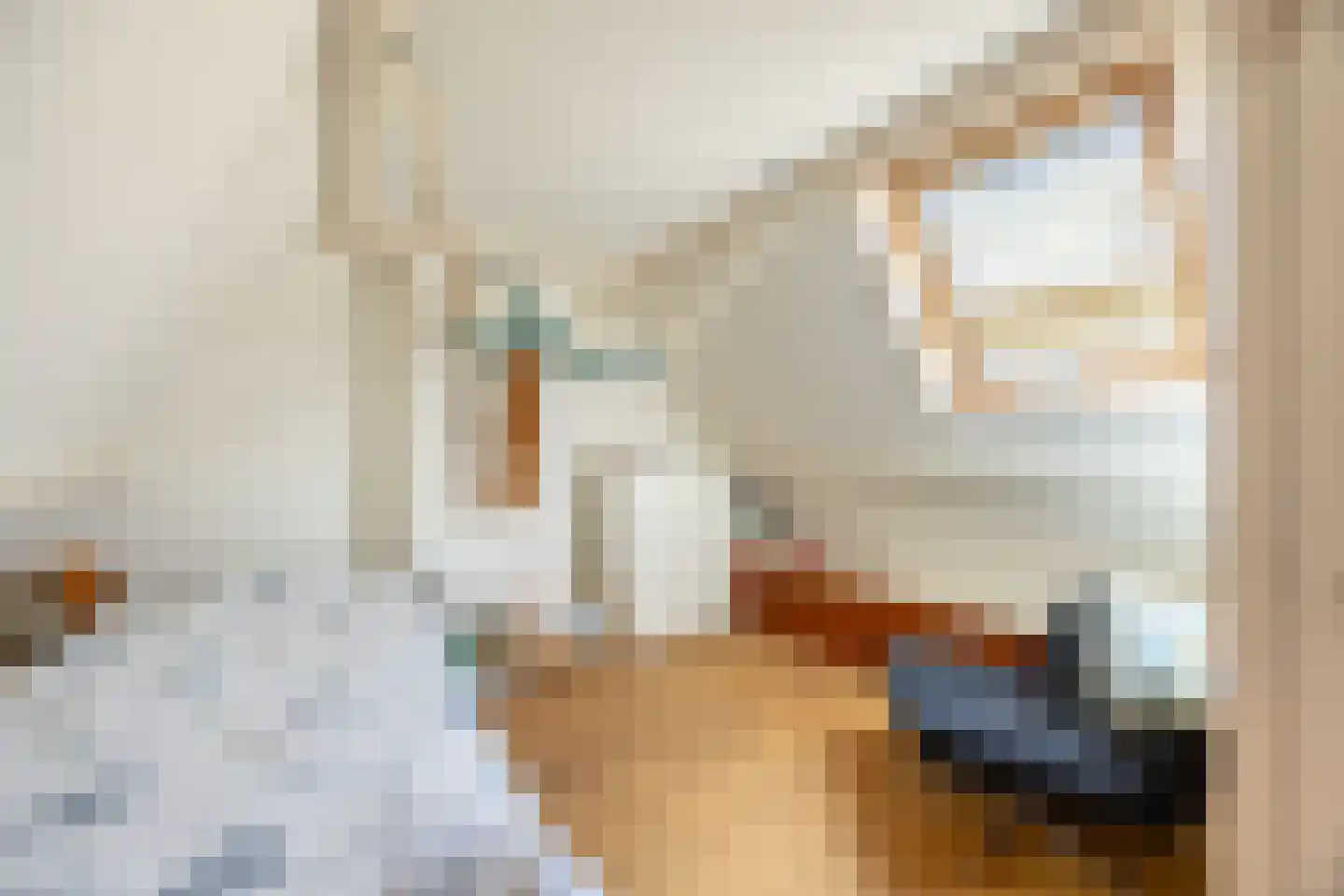 Recifelaan 30 Overveen thumbnail 33