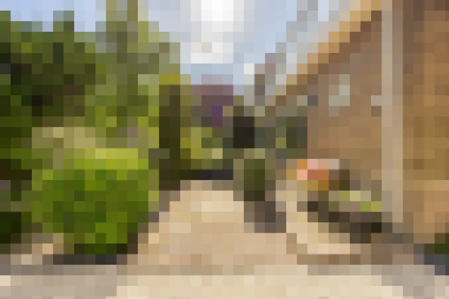 Recifelaan 30 Overveen thumbnail 35