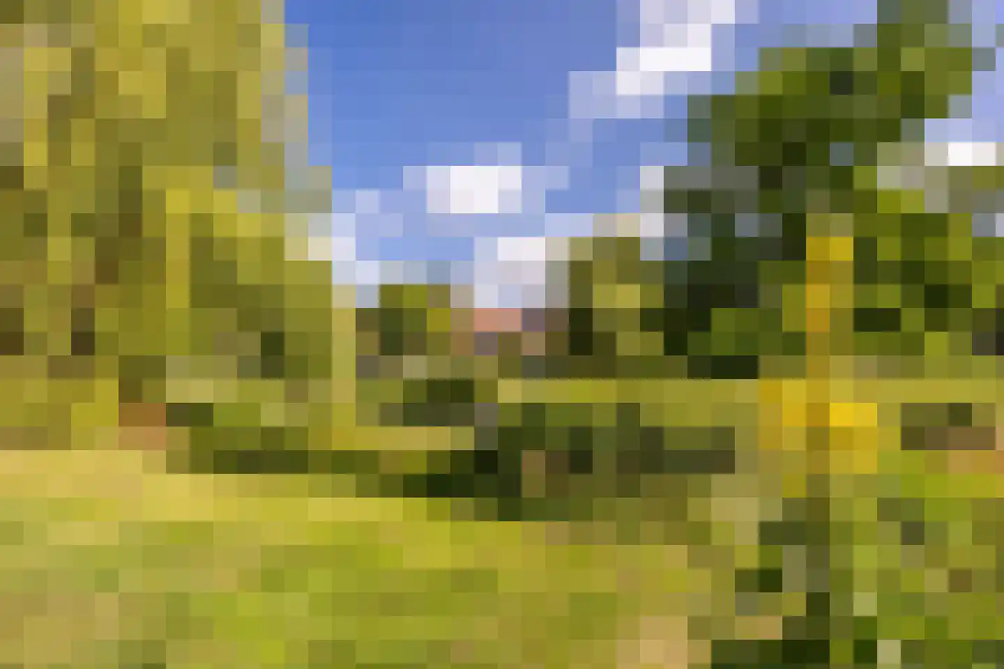 Recifelaan 30 Overveen thumbnail 38