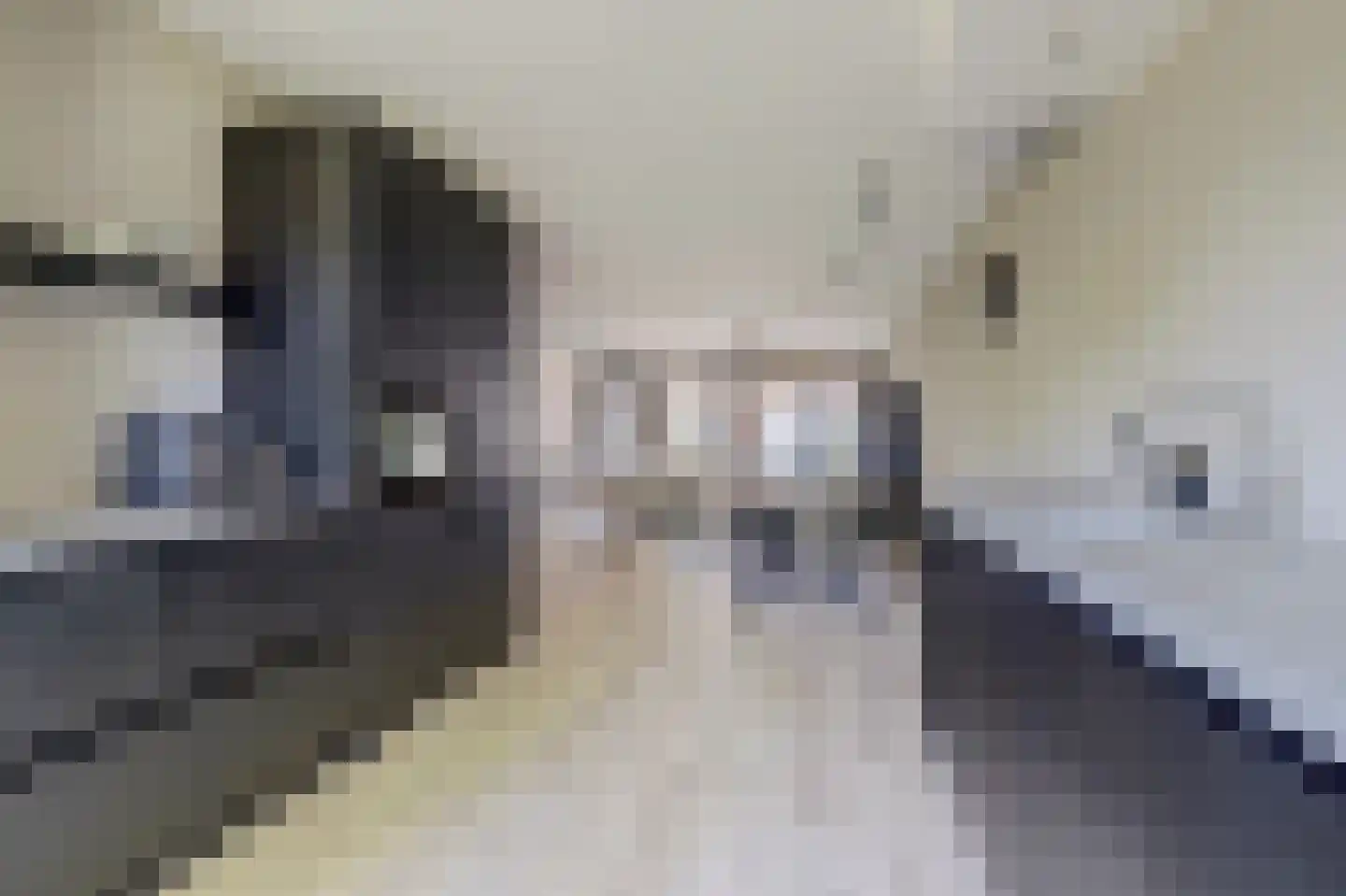 Recterstraat 4 Veenendaal thumbnail 15
