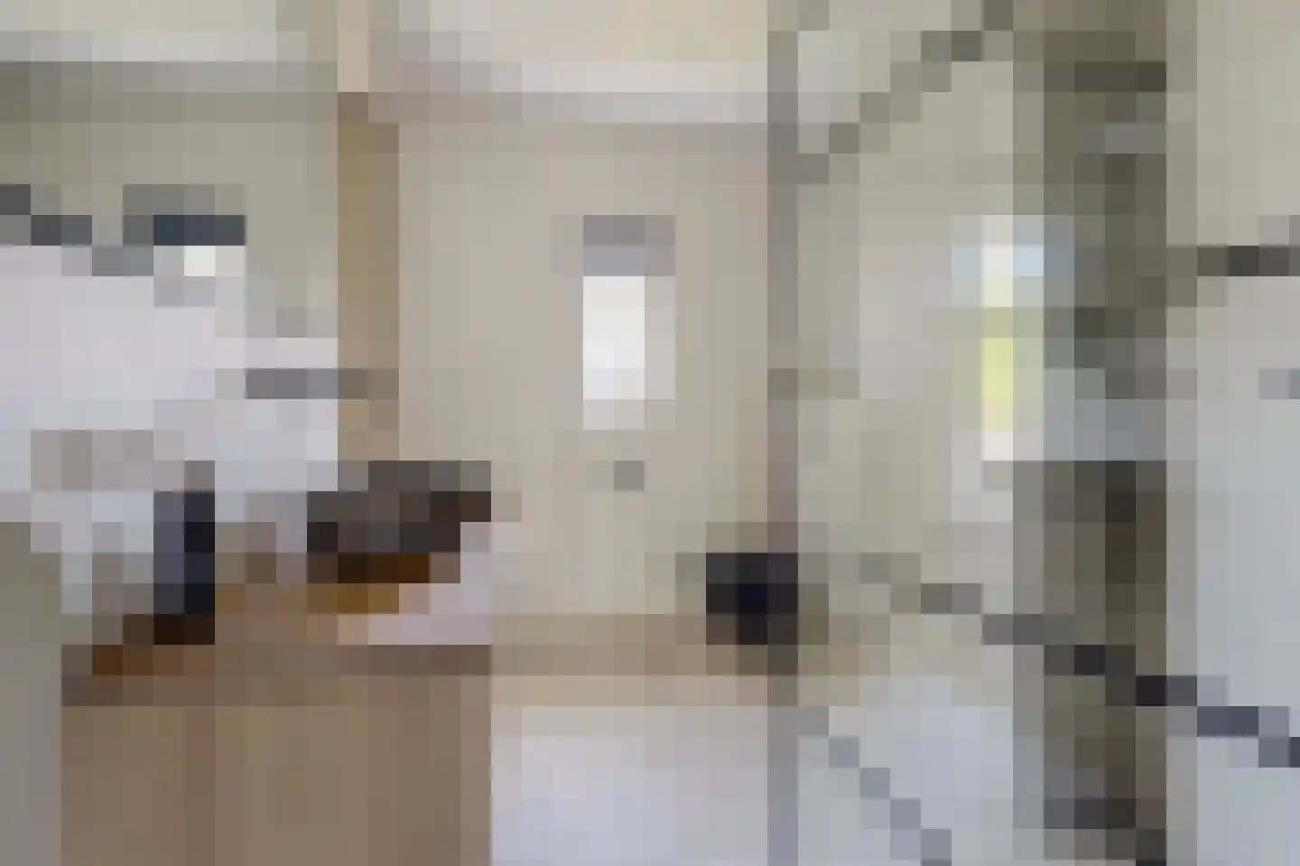 Recterstraat 4 Veenendaal thumbnail 25