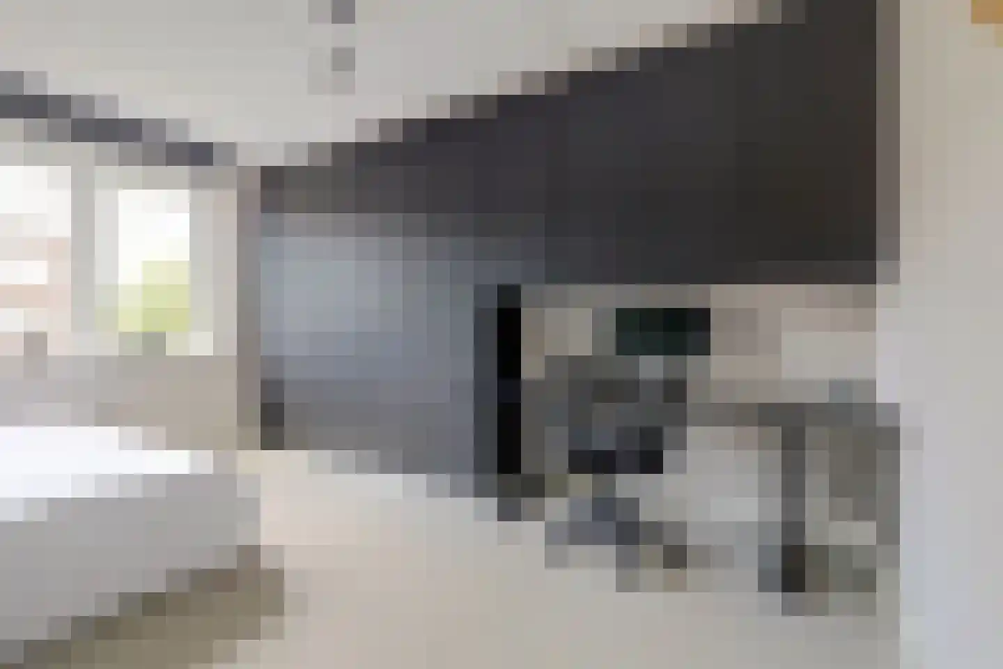 Recterstraat 4 Veenendaal thumbnail 28