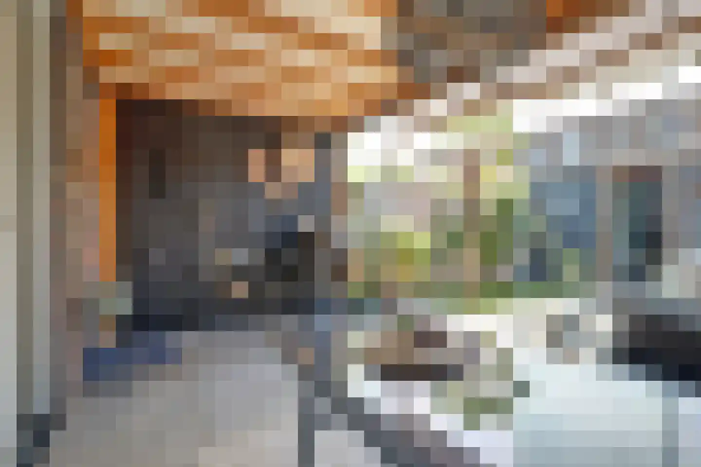 Recterstraat 4 Veenendaal thumbnail 43