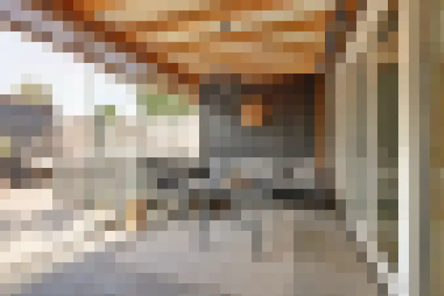 Recterstraat 4 Veenendaal thumbnail 44