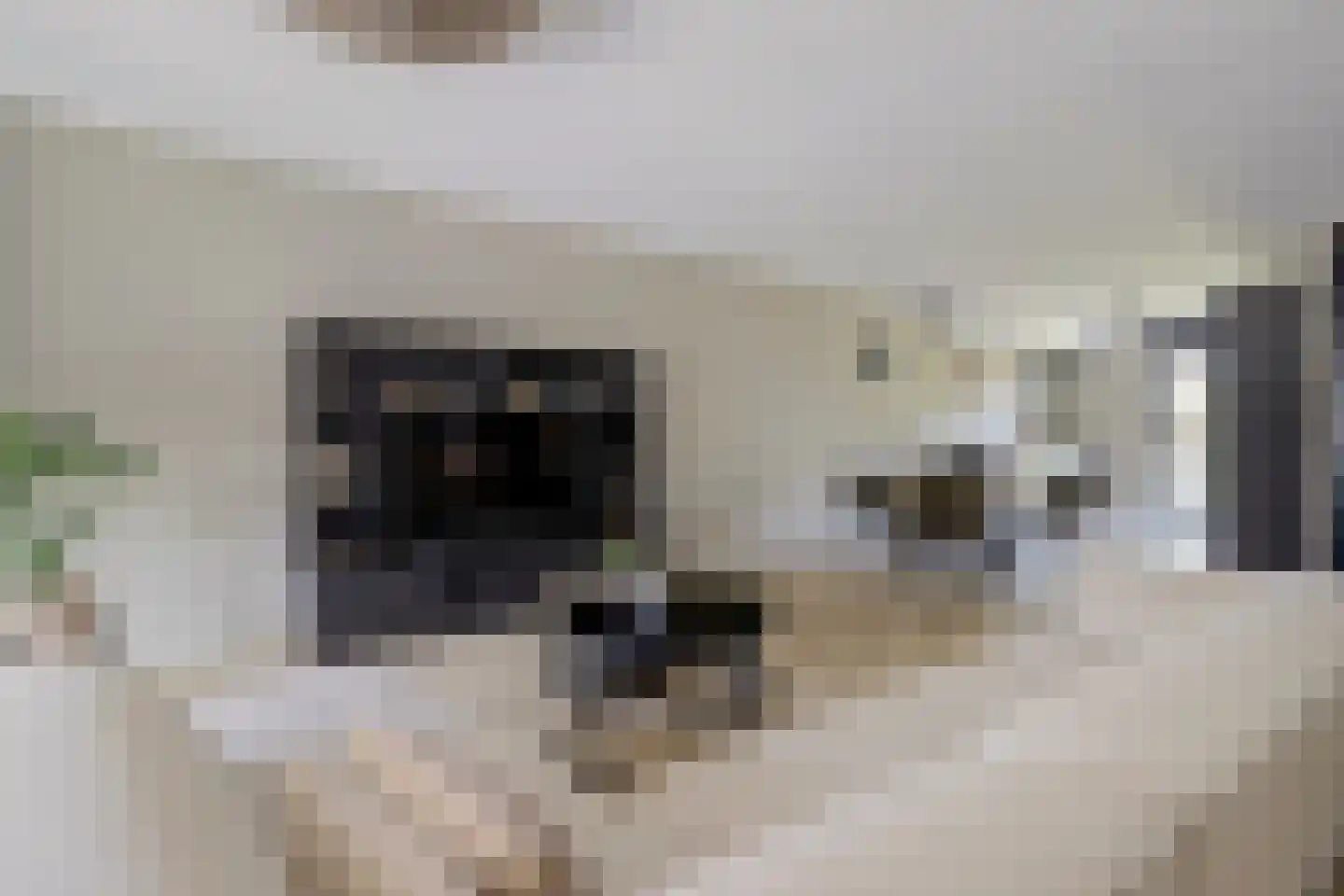 Recterstraat 4 Veenendaal thumbnail 6