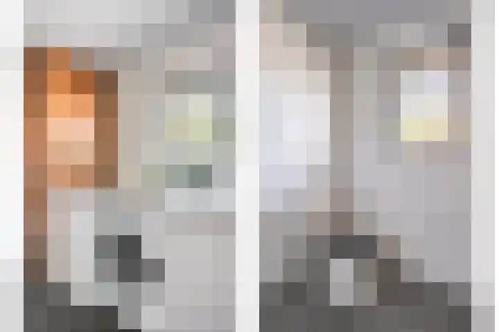 Rector Aldenhuysenstraat 46 Handel thumbnail 21