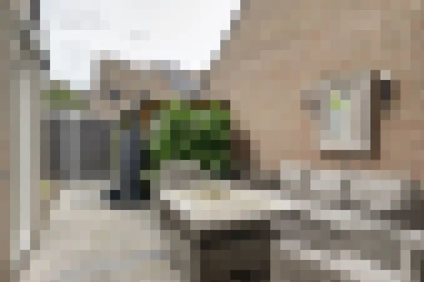 Rector Buijselstraat 10 Rijen thumbnail 33