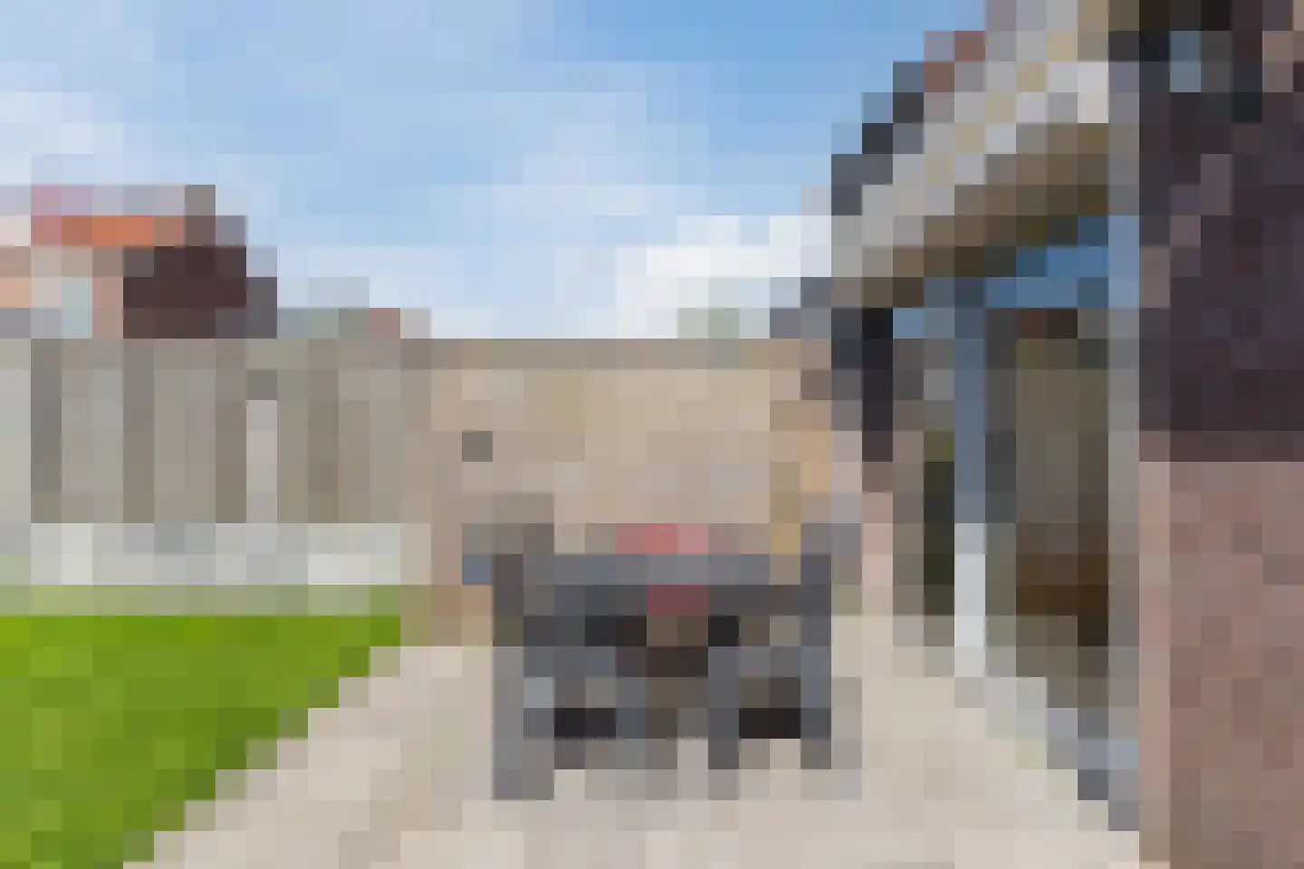 Rector Buijselstraat 3 Rijen thumbnail 12
