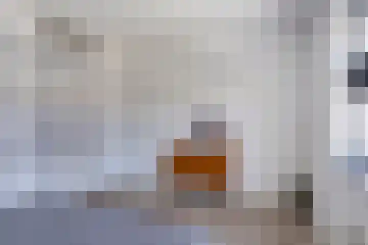 Rector Coppenserf 30 Tilburg thumbnail 22