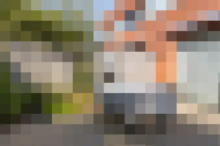 Rector Coppenserf 30 Tilburg thumbnail 33
