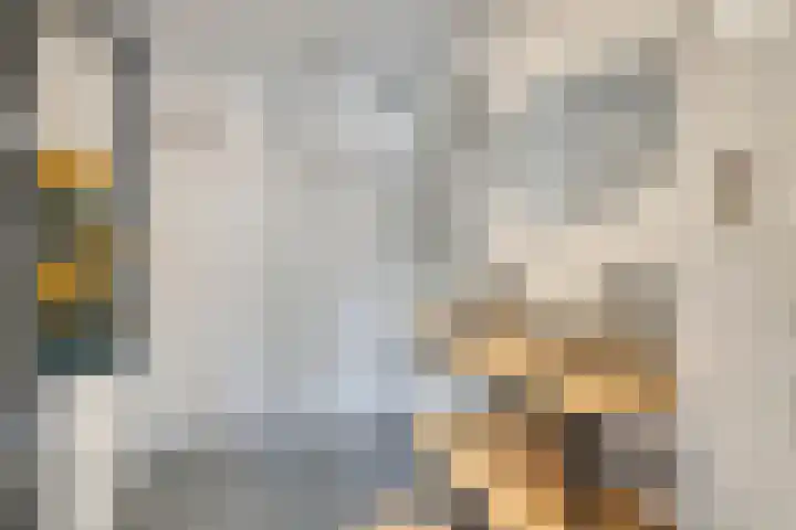 Rector Coppenserf 30 Tilburg thumbnail 4