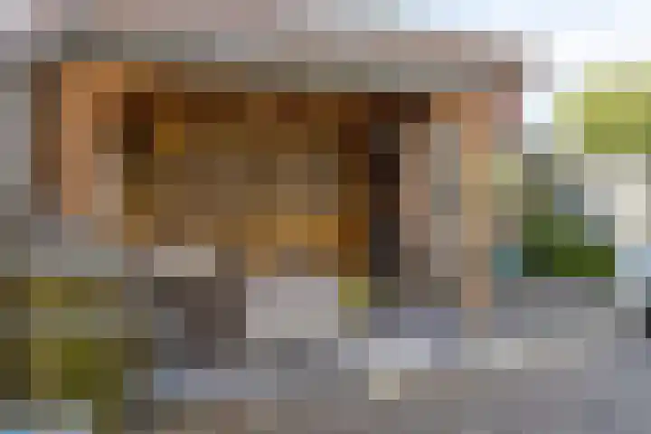 Rector Coppenserf 30 Tilburg thumbnail 5