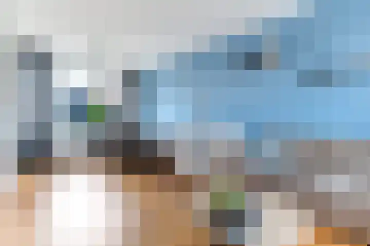 Rector de Kortstraat 4 Halsteren thumbnail 7
