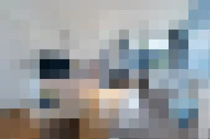Rector de Kortstraat 4 Halsteren thumbnail 9