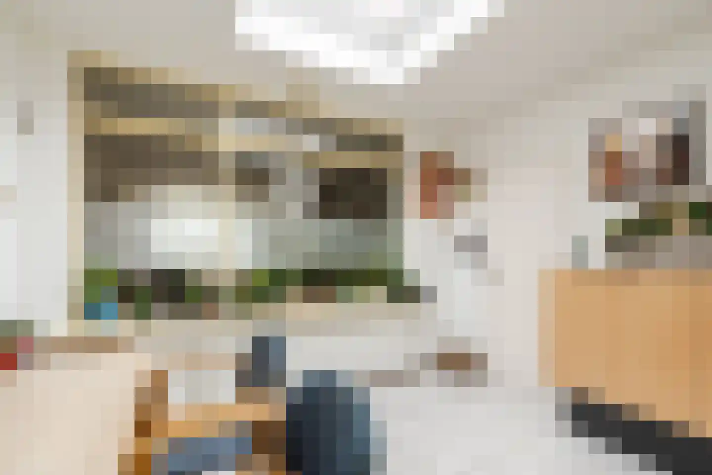 Rector de Vethstraat 5 De Mortel thumbnail 23