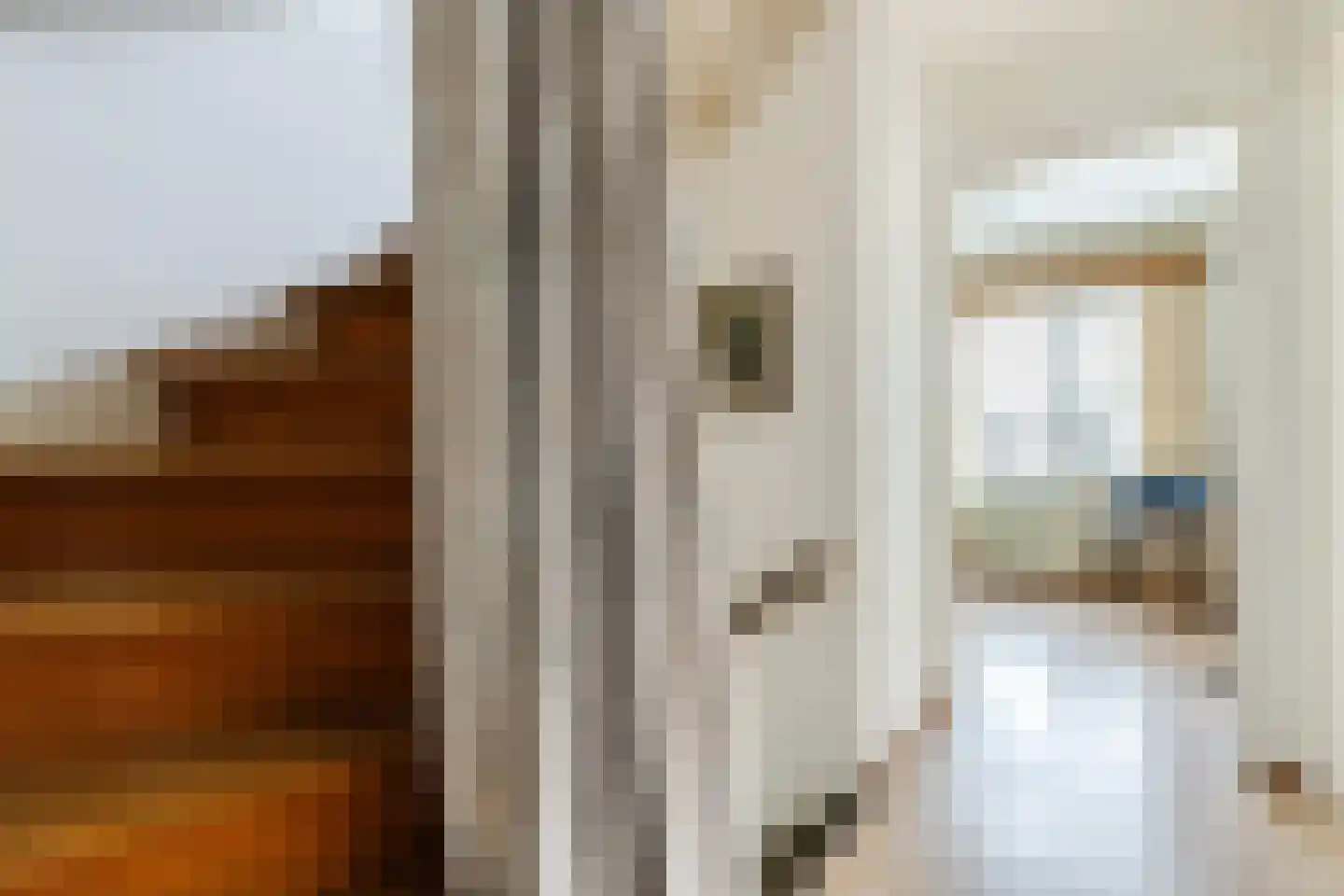 Rector de Vethstraat 5 De Mortel thumbnail 25
