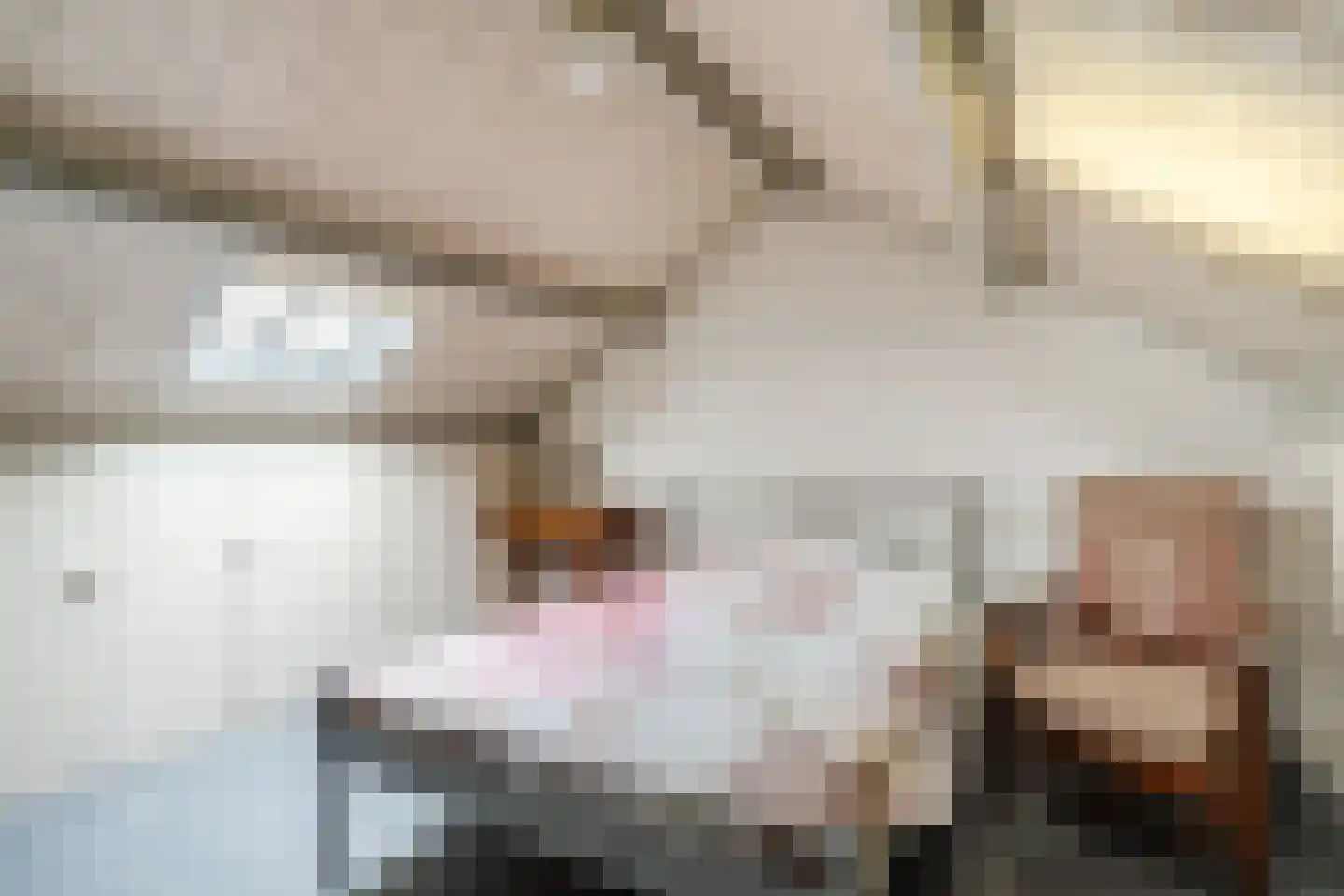 Rector de Vethstraat 5 De Mortel thumbnail 35