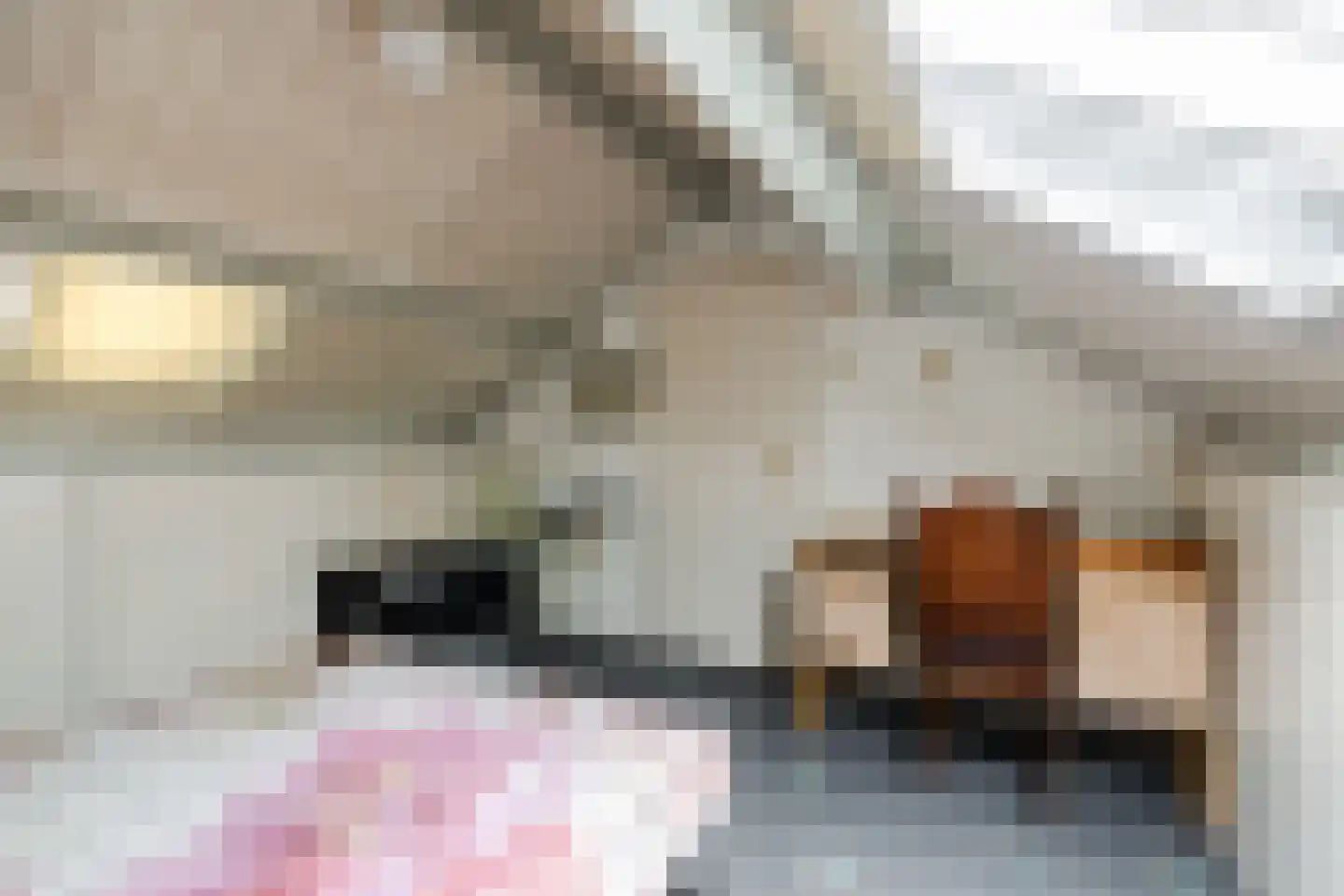 Rector de Vethstraat 5 De Mortel thumbnail 36
