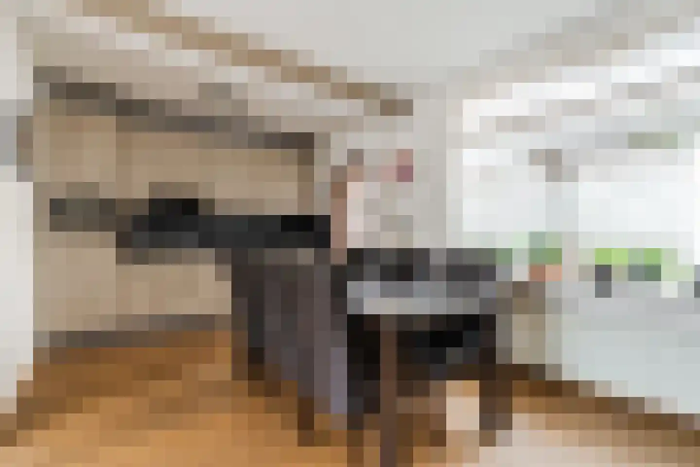 Rector de Vethstraat 5 De Mortel thumbnail 4